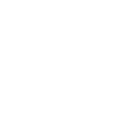 Subject Guides